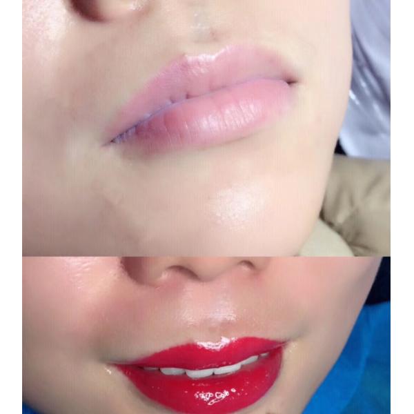 Pure Plant Organic Permanent Makeup Pigments Micro Ink for Lip Micropigmentation