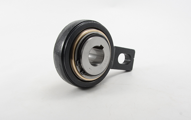 Подшипник Backstop RSBW поддержал 20-90mm один бортовой подшипник муфты