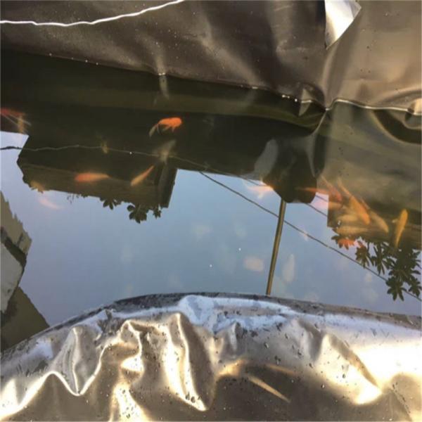 0.2mm-3mm Thickness HDPE Fish Pond Liner Membrane for Landscaping Pools Width 1m-8m