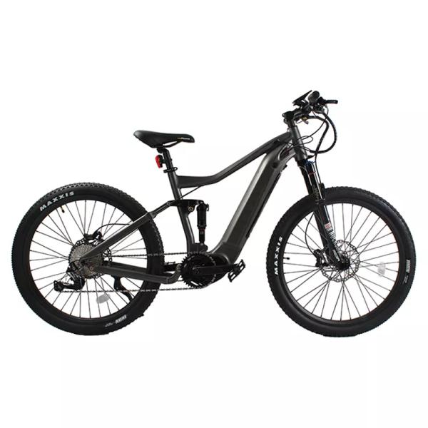 48V 20AH Lithium-ion Battery Mid Motor Bike for Adults Dirt Mountain Electric Bike