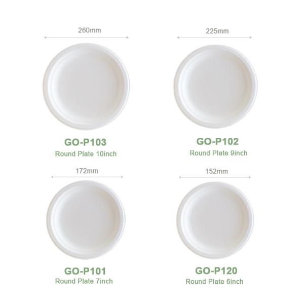 9 Inches White 100% Compostable Biodegradable Food Plate, For Food And Vegetables