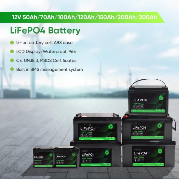 12 Volt Iron Phosphate Lithium LiFePo4 Batteries 100ah 200Ah 300Ah 400Ah Custom