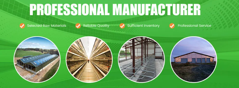 Low Maintenance Cost Stable Structure Prefabricated Steel Chicken Coop for Poultry House Farming