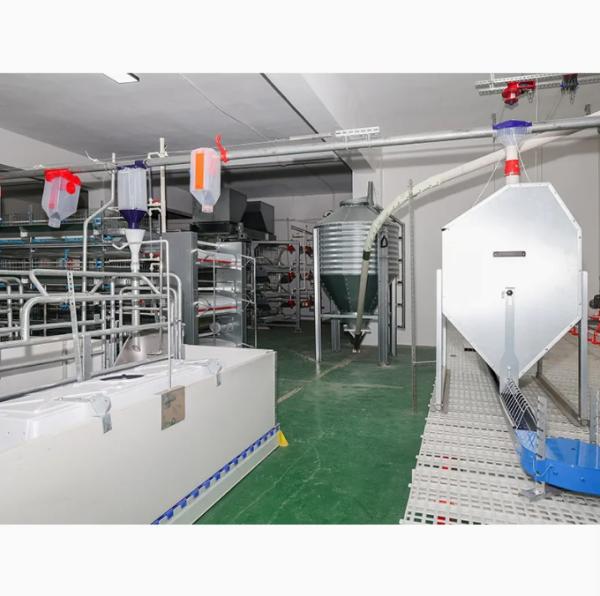 Custom Automated Poultry Equipment with Hot-Dip Galvanized Steel Anti-Spillage Design and Nipple Drinkers