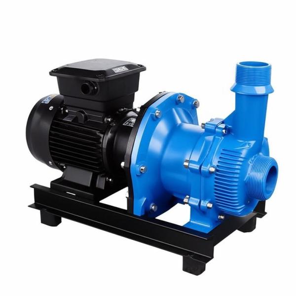 TRSP-40L Advanced Sludge Vacuum Pump High-Efficiency, Eco-Conscious Sludge Management Solution