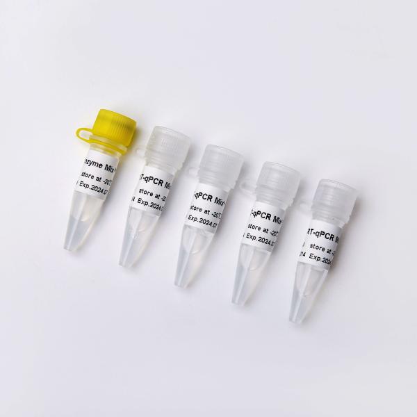 GDSBio One Step RT QPCR Master Mix V5009 V5010