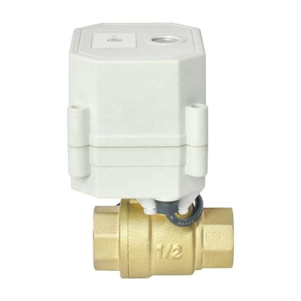 Etrany DC12V 1'' BSP NPT Electric Brass Ball Valve Cellphone WIFI Control Water
