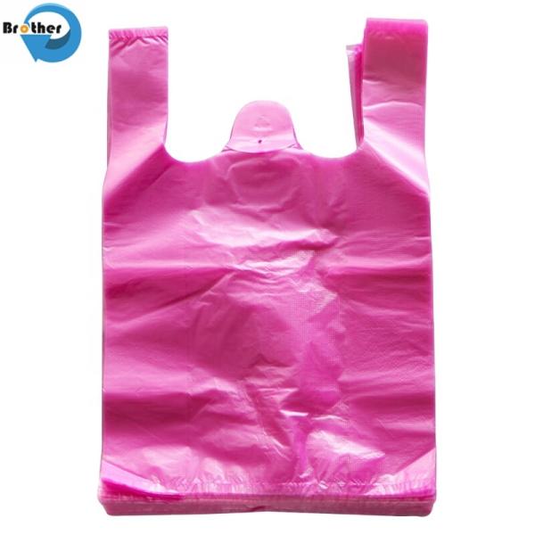 Recyclable Plastic Shopping Bag with Custom Logo Printing From China Supplier
