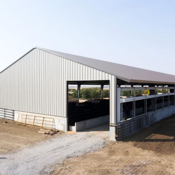 Open House Design Custom Steel Structure Prefab Cattle Farm Shed With Roof Ventilation