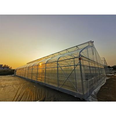 UV Resistant Single Span Greenhouse 200 Micron Plastic Film Long Lasting
