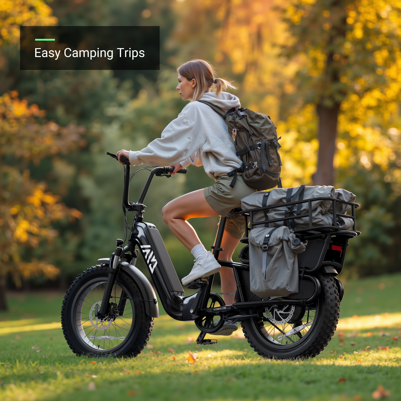 20 Inch Electric Cargo Bike 48V 750W Folding Urban Commuter Ebike for Family Kids Pets Large Rack City Transport