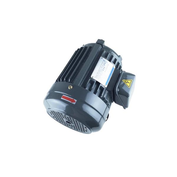 45kw Inverter Duty Induction Motor