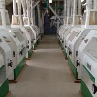 Rolo pneumático da máquina 60T-120T /24H da fábrica de moagem do milho do controle do PLC
