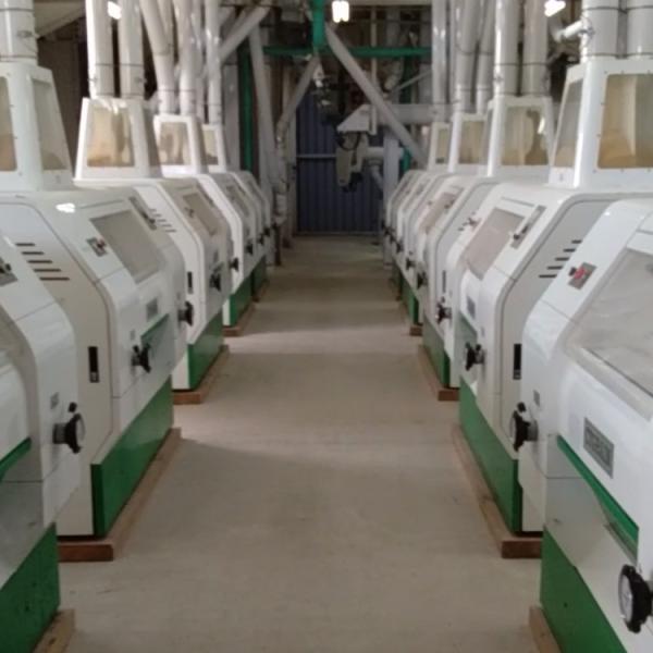 Supply ODM China 20tpd 30tpd 50tpd 80tpd 150tpd 200tpd Wheat Flour Mill