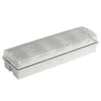 110V / lumière montée extérieure blanche de secours de 220V SMD 2835 LED avec le diffuseur de PC (EL015EM)