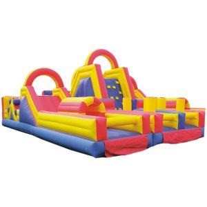 Capacity 5 to 10 Children Inflatable Amusement Equipment Perfect for All Ages Typically 20 to 50 Kg Durable and Exciting