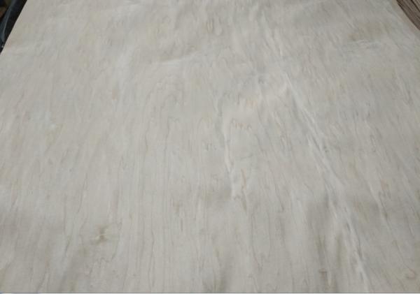 Rotary Peeled Maple Wood Veneer Maple Rotary Cut Veneer 4' x 8'