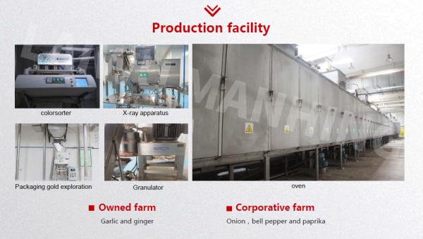 Fumigation Free 10ppm 100 cfu/G Dehydrated Garlic Cloves