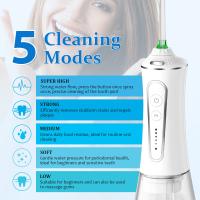 Limpeza Dentária Elétrica Portátil Irrigador Dental Irrigador de Água Para Dentes Flosser USB-C Cable de Carregamento Incluído