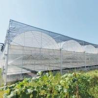 Customized Agricultural Plastic Film Multi-span Polyhouse Greenhouse