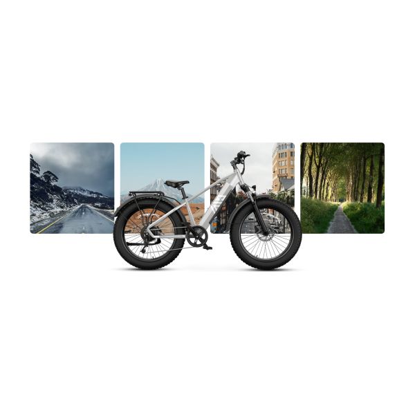F612 F622 Fat Tire Ebike Remove Lithium Battery Pack 750W Motor 7 Speed Hydraulic Disc Brake Fat Bike