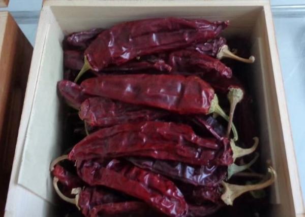 Pó de 10 pimentões de PPB que tempera 100 Scoville Chili Barbecue Powder doce