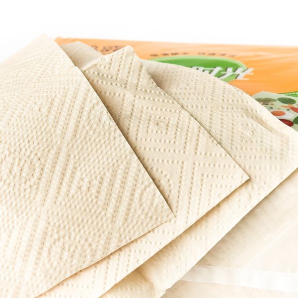 Bamboo Pulp 2-Ply Facial Tissue Soft Home Use Hanging Tissue Paper for Comfort and Style