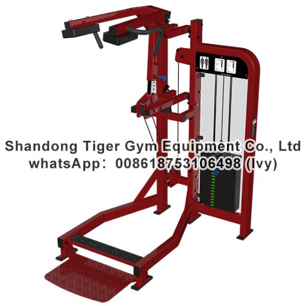Gym Fitness Equipment Seated / Stand Calf Raise / Super Horizontal / Standing / Horizontal Calf exercise machine