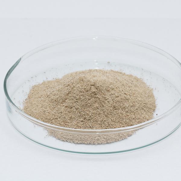 50000U/G Proteasa ácida utilizada para la fermentación de alimentos Procesamiento de cuero Proteasa fabricantes ventaja de precio