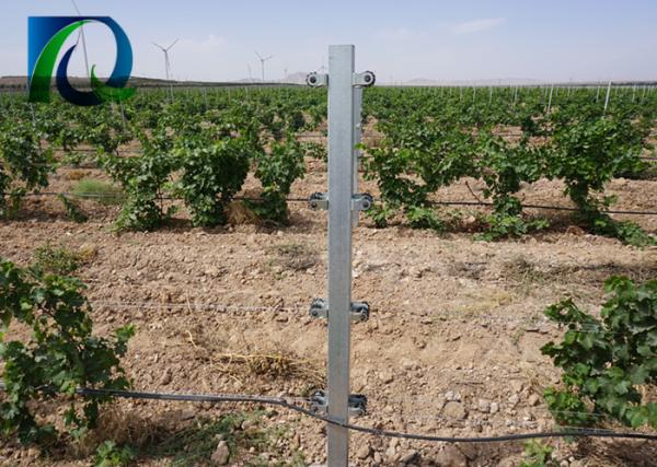 Hot Dipped Galvanized Grape Vine Posts / Heavy Duty Vineyard End Posts For Grape Growing