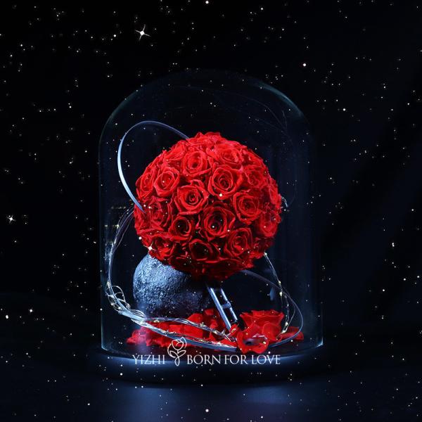 Eternal Flowers In Glass Romantic Planet Gift Luxury Home Decor Wedding Decor Romantic Gift