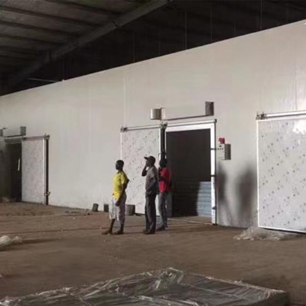 Промышленность холодильная холодильная, холодильная для фруктов, продуктов питания рыбная камера