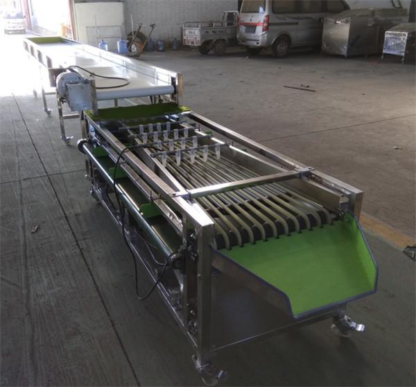 blueberry grading machine, dates sorting machine, plum grading machine