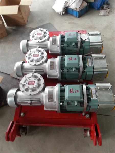 OEM Lifting Construction Hoist Parts Electric Cage Hoist Motor