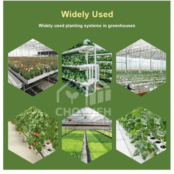 Multi Span Film Hydroponic Garden Greenhouse 10X30m Customizable