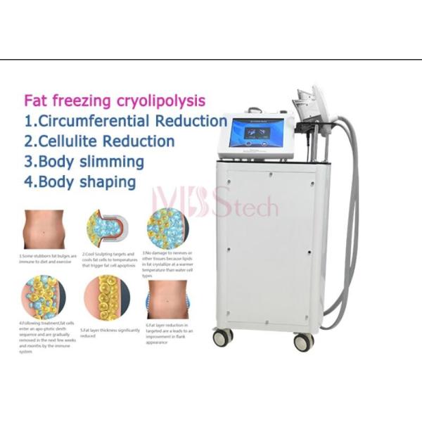 190mm 130mm double Chin Cryo Cryolipolysis Slimming Machine