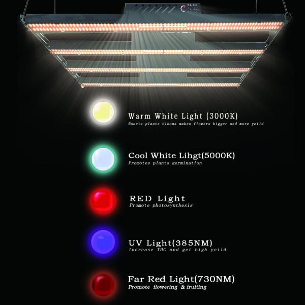СИД инфракрасн LM301H SAA растет светлое AC277V 800w Uva Uvb 5x5ft 4 переключателя