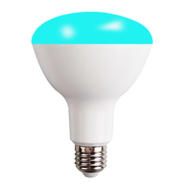 Bluetooth Mesh RGBCW Bulb
