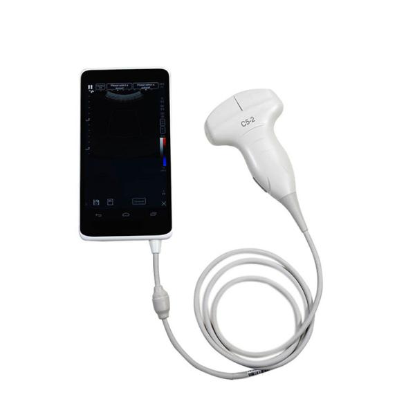 Handheld Ultrasound Scanner convex transducer