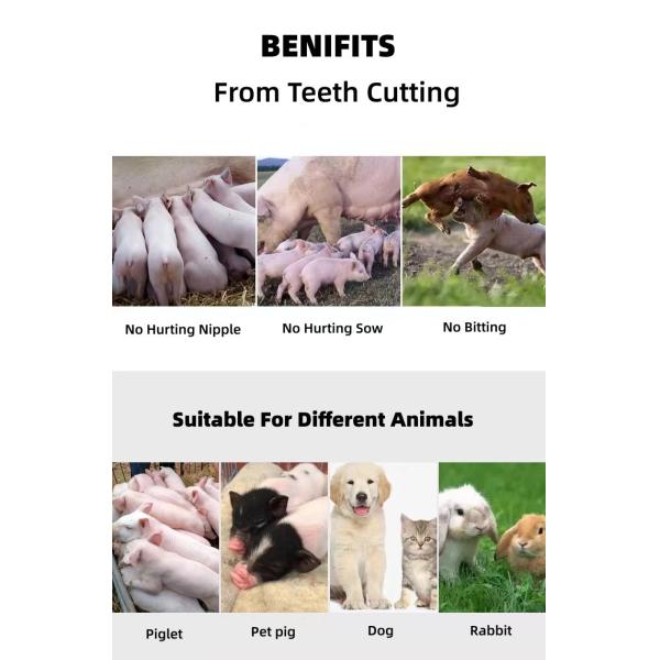 Livestock Husbandry Rabbit Piglet Animal Tooth Cutter