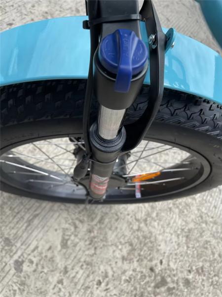 24 Inch 3 Wheel Electric Tricycle 7 Speed 48V 750W Electric Fat Tire Cargo Bike
