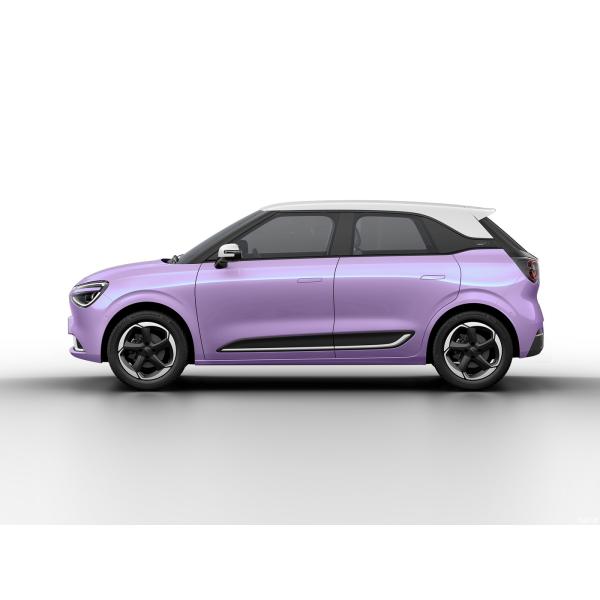 Max Smart Energy Vehicle Dongfeng Nami 01 2024 430 with 4030*1810*1570 Body Structure