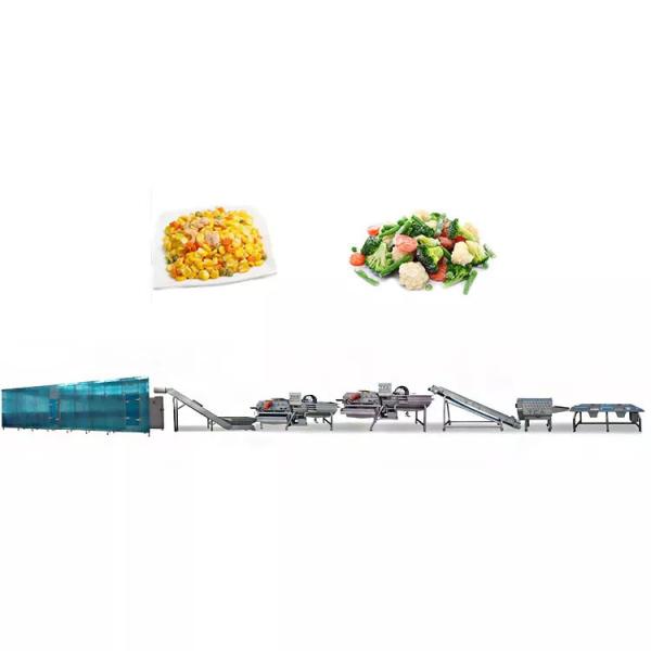 Commercial Industrial Bubble Fruit Avocado Mango Vegetable Potato Washing Machine