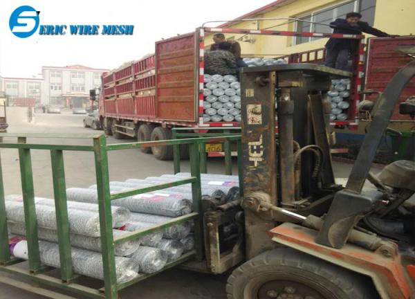 Hot-dipped galvanized or PVC coated hexagonal wire mesh/chicken wire/chicken cage