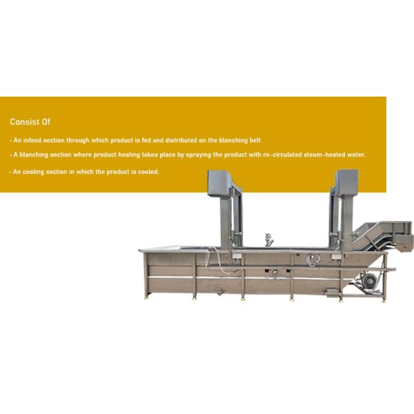Silver 304 Stainless Steel Potato French Fries Blanching Machine for Your Business