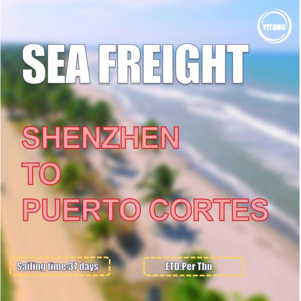 37 Days DDP DDU Sea Freight From Shenzhen To Puerto Cortes Honduras