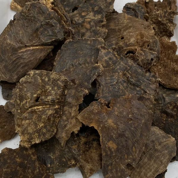Bulk supply of authentic OUD Agarwood chips and powder ideal for perfume manufacturing and traditional incense crafting