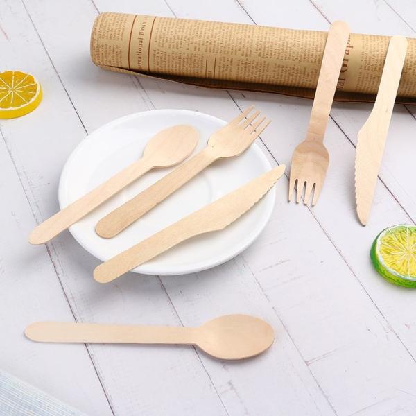 使い捨てのバンブー 食器 バンブー 夕食用 食器 旅行用 食器