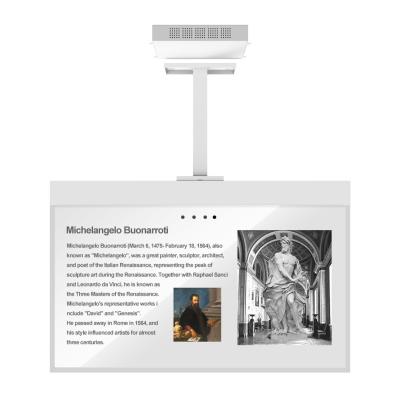 55 Inch OLED Transparent Display With Hanging Installation Ultra Slim Design