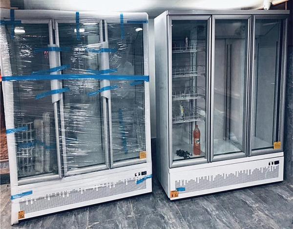 Bottom Mount Type Commercial Glass Freezer With Automatic Drain Water Evaporating System